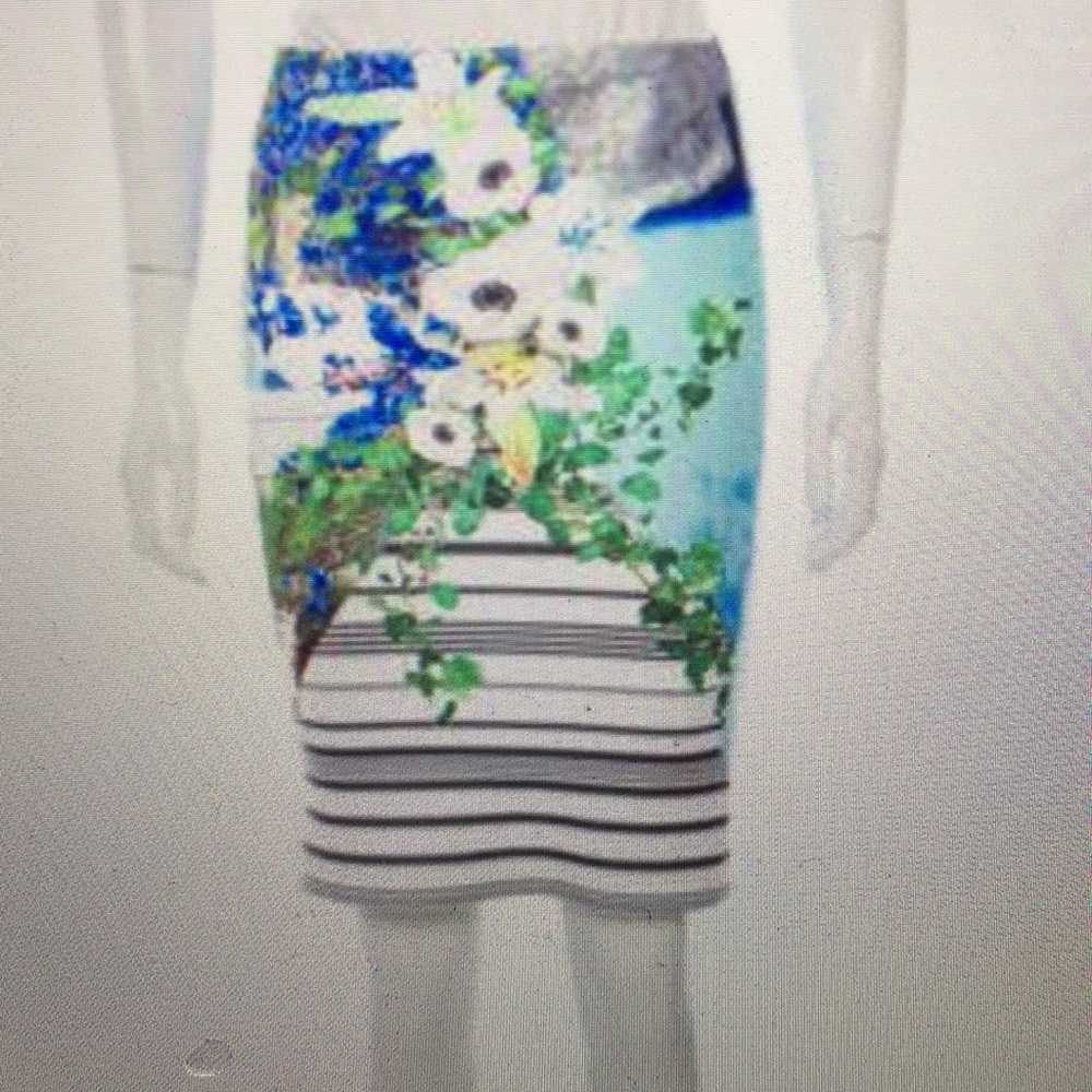 Clover canyon skirt